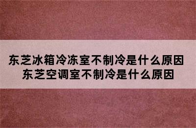 东芝冰箱冷冻室不制冷是什么原因 东芝空调室不制冷是什么原因